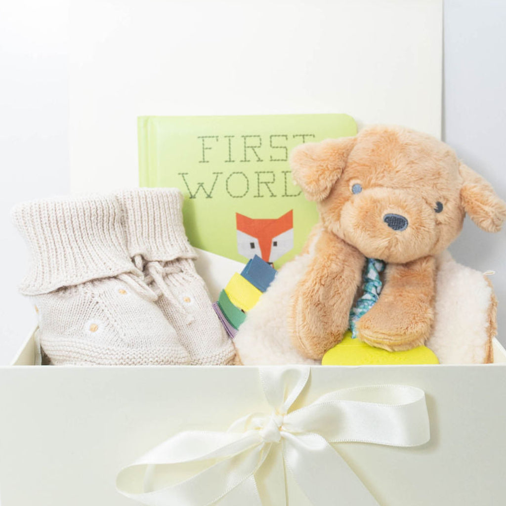 Trevor the Puppy baby gift set with First Words book and Saga Copenhagen booties