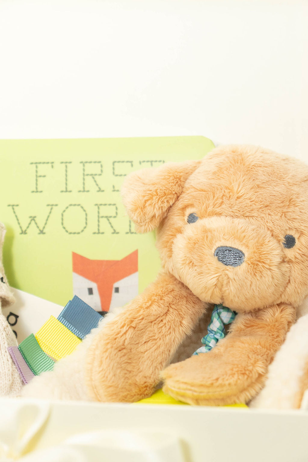 Trevor the Puppy featured with First Words book.
