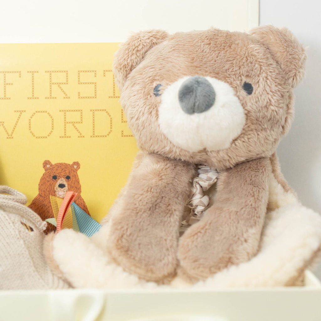 Theo the Bear with First Words book.