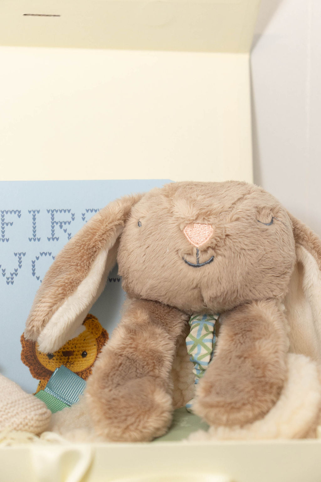 Billie the Bunny baby gift set with First Words book.