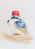 Watercolor illustration of a turquoise-blue bird wearing a red fez, perched on a branch, featured on a Sage Hill Designs notecard.