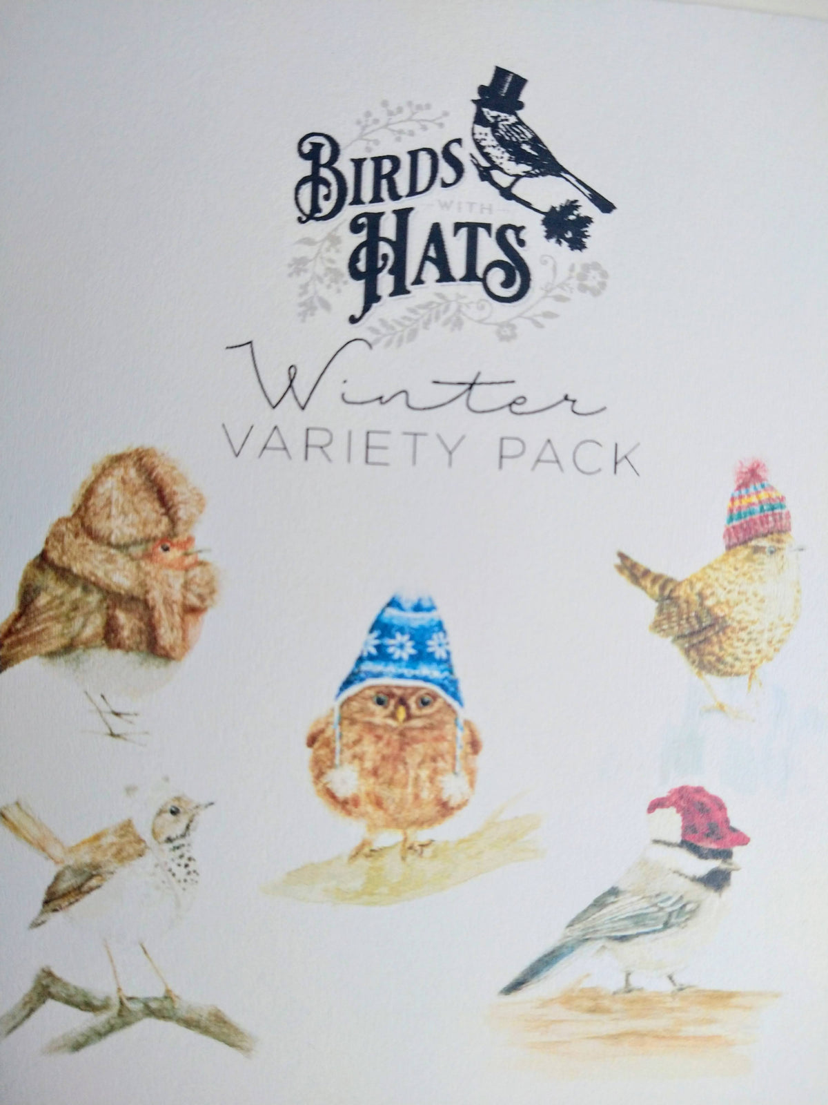 Birds with Hats Winter Notecard Set – 5 Whimsical Illustrated Cards