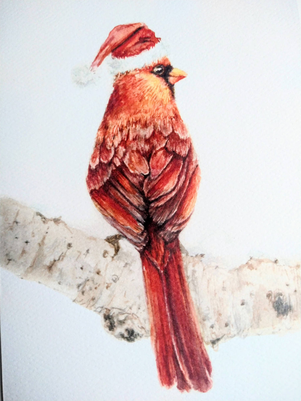Birds with Hats Holiday Notecard Set – 5 Whimsical Illustrated Cards