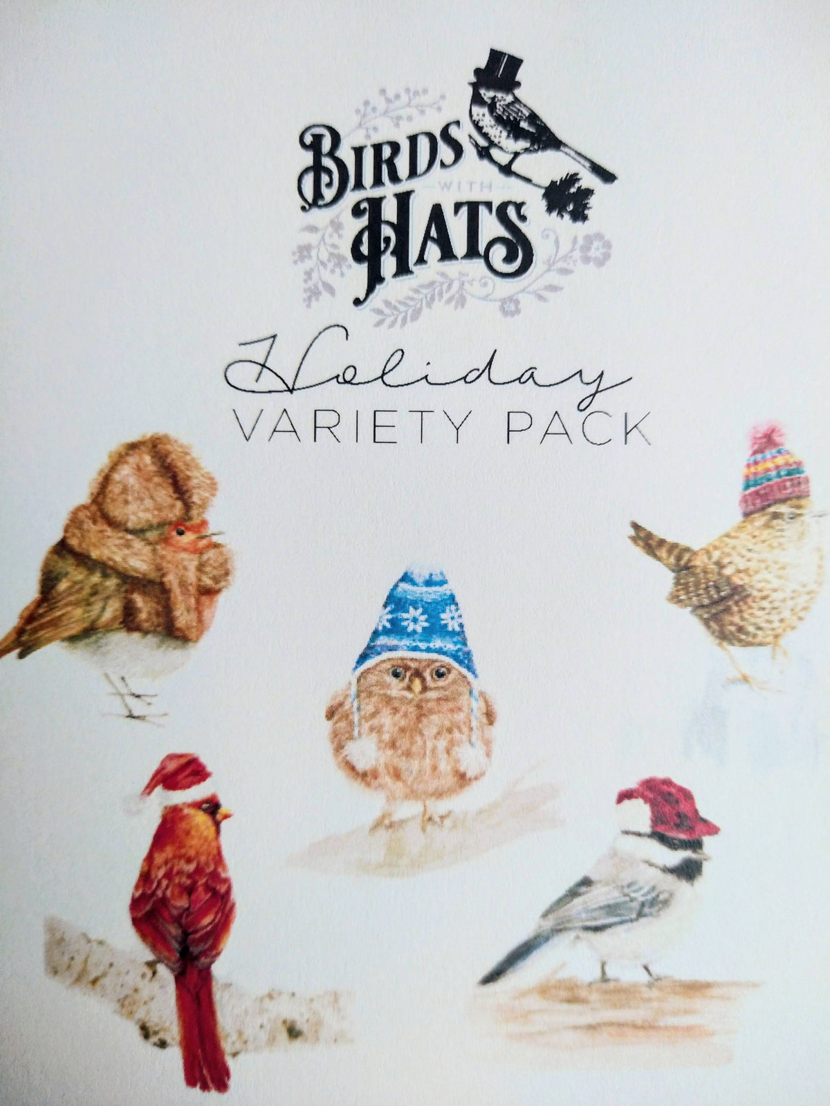 Birds with Hats Holiday Notecard Set – 5 Whimsical Illustrated Cards