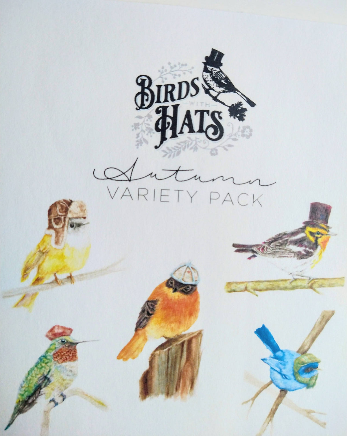 Birds with Hats Autumn Notecard Set – 5 Whimsical Illustrated Cards
