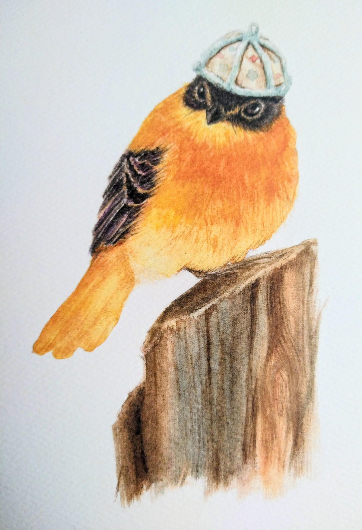 Birds with Hats Autumn Notecard Set – 5 Whimsical Illustrated Cards