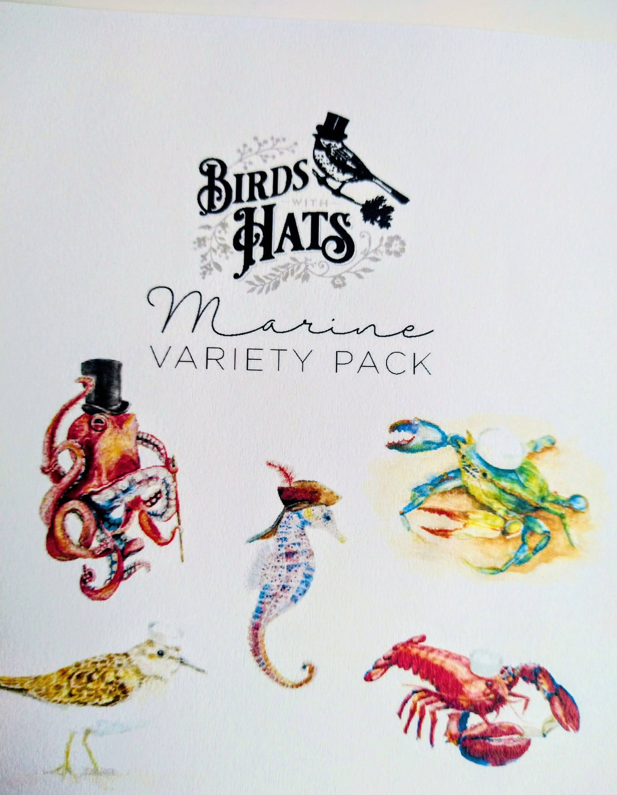 Birds with Hats Marine Notecard Set – 5 Whimsical Illustrated Cards