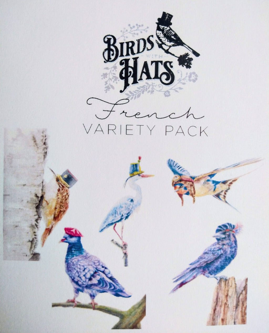 Birds with Hats French Notecard Set – 5 Whimsical Illustrated Cards