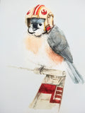 Watercolor illustration of a tufted titmouse wearing a cream and red Rebel X-Wing pilot helmet, perched on a spacecraft-inspired structure.
