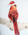 Watercolor illustration of a red cardinal wearing a red and white Santa hat, perched on a pale birch branch.
