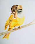 Watercolor illustration of a yellow flycatcher with a gray head wearing a brown fur-lined aviator hat, perched on a branch.