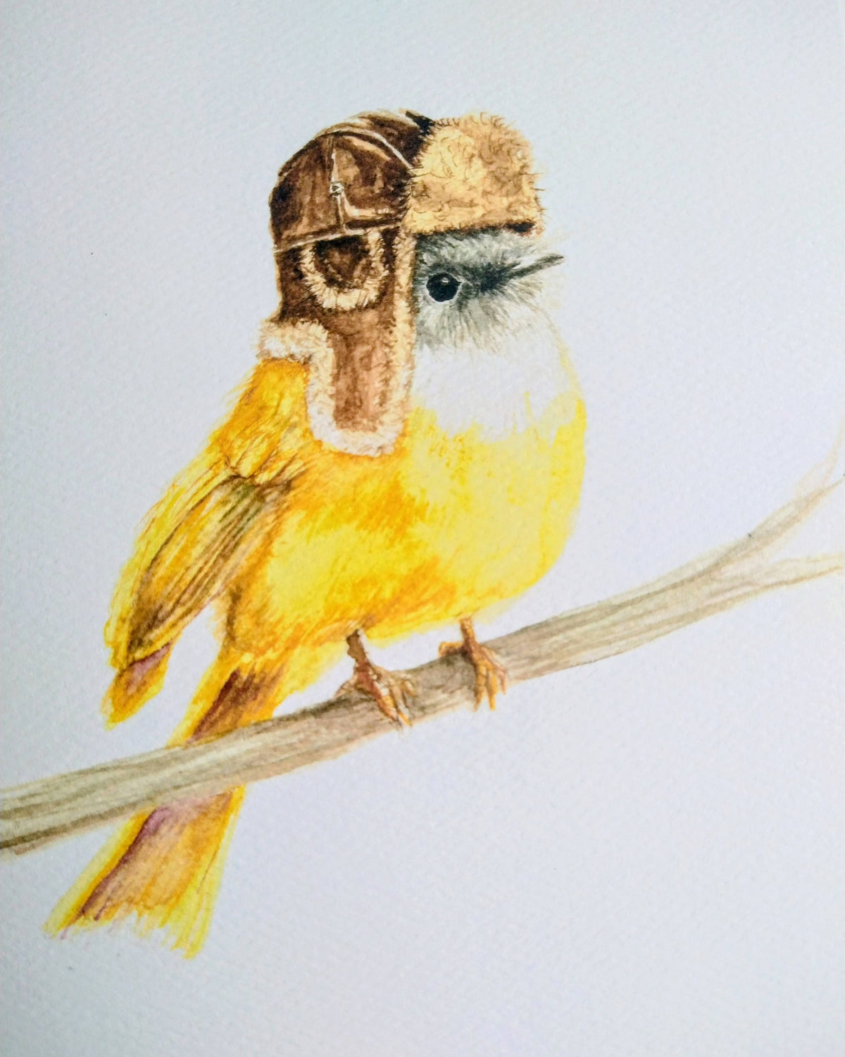 Watercolor illustration of a yellow flycatcher with a gray head wearing a brown fur-lined aviator hat, perched on a branch.